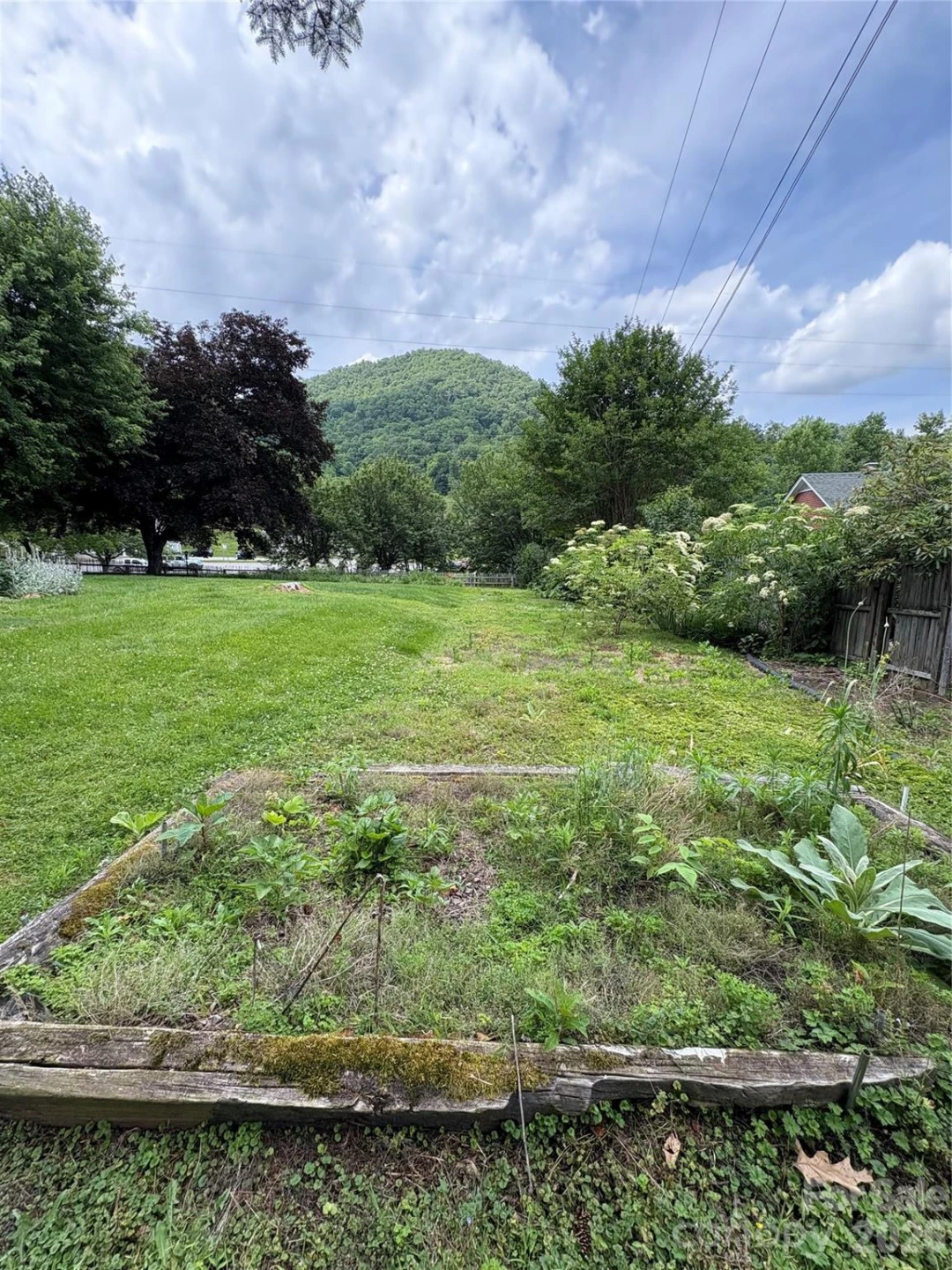 2541 Dellwood Road - Photo 6