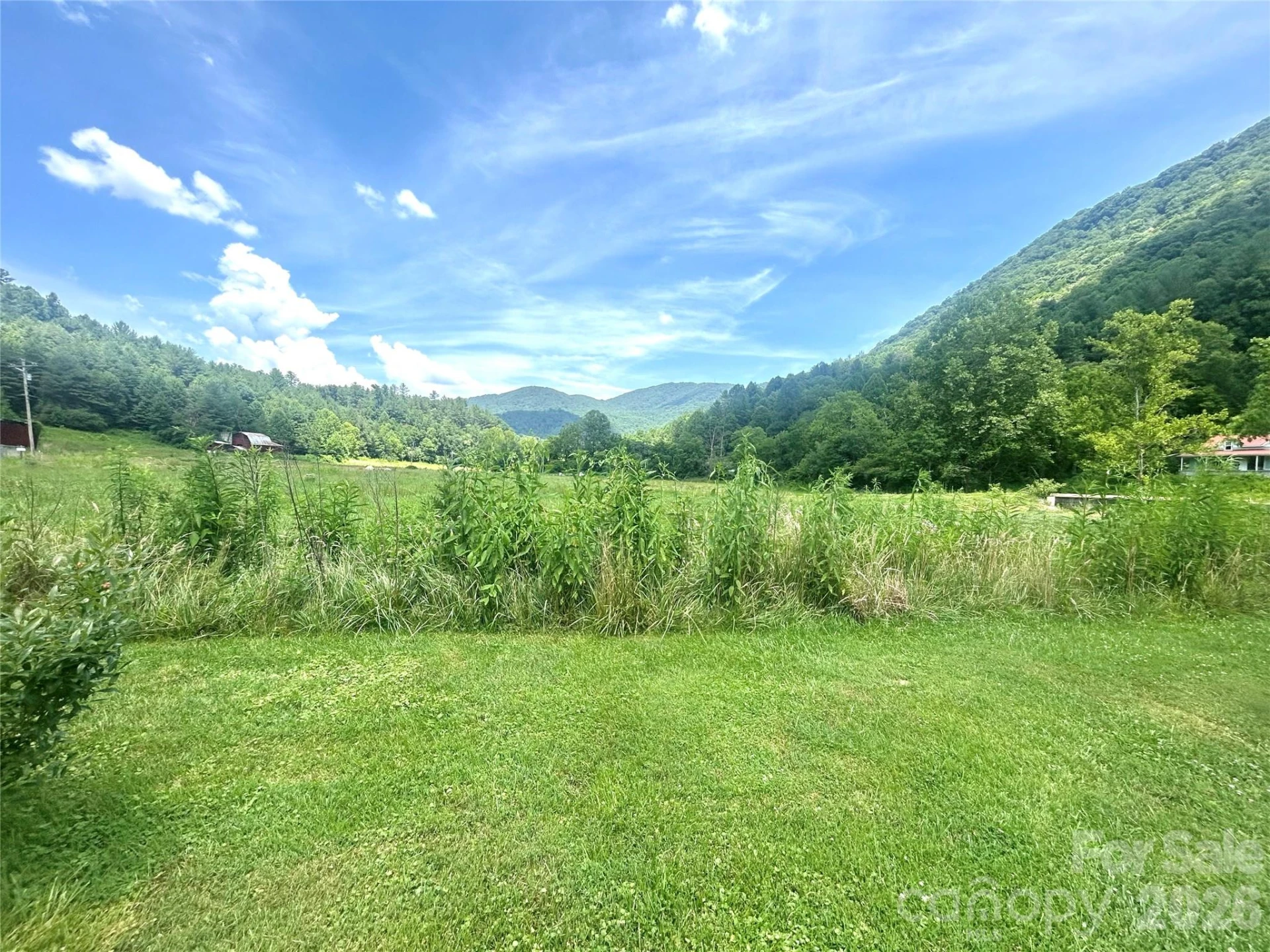 10755 NC 209 Highway - Photo 11