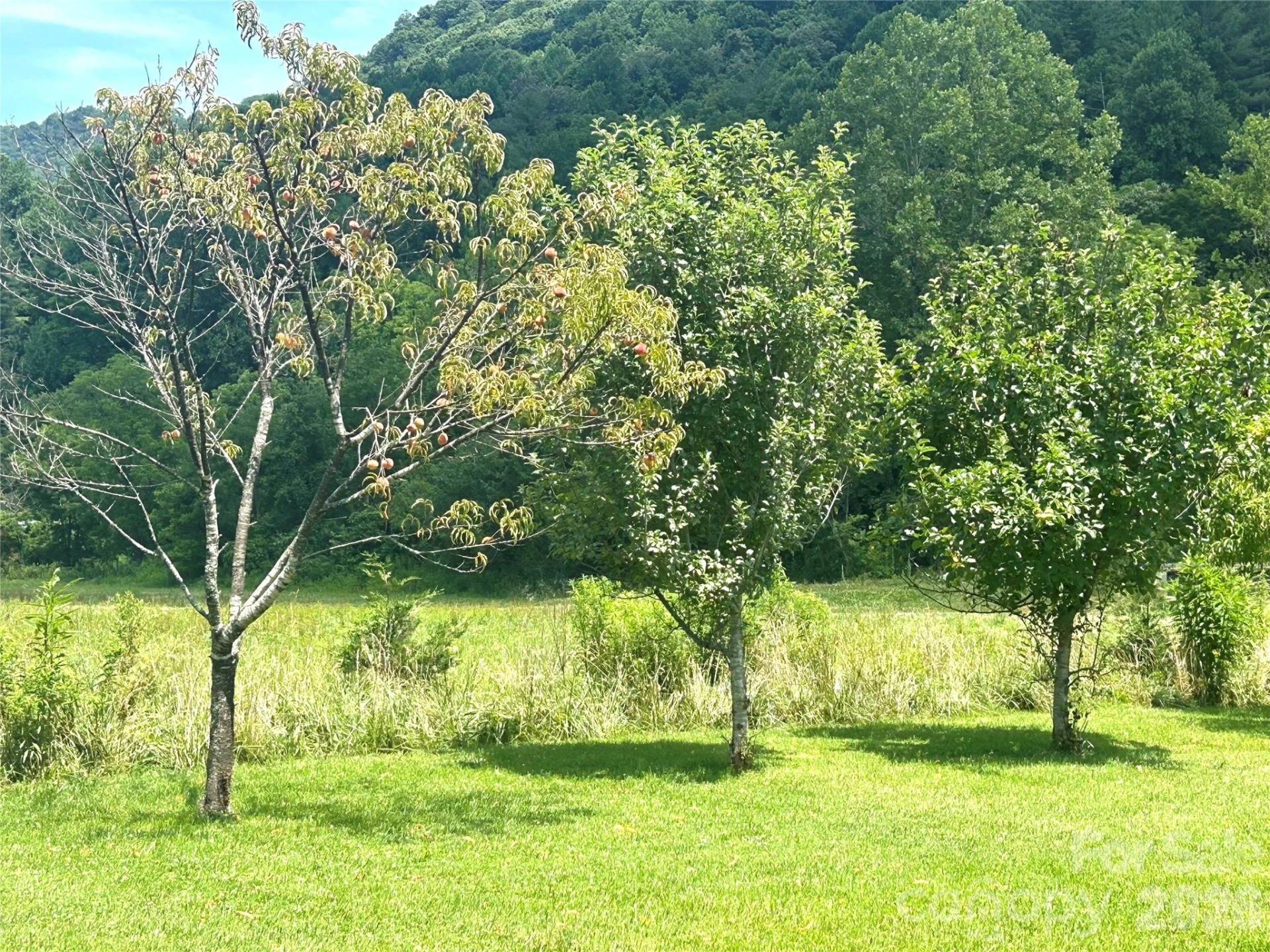 10755 NC 209 Highway - Photo 12