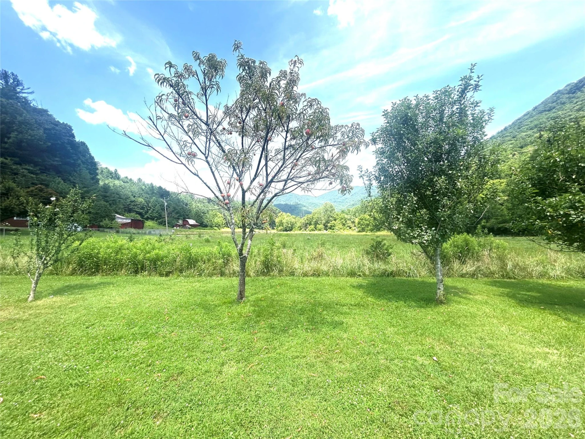 10755 NC 209 Highway - Photo 10