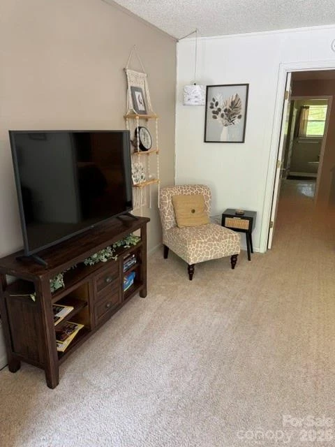96 Rolling Hills Road - Photo 11