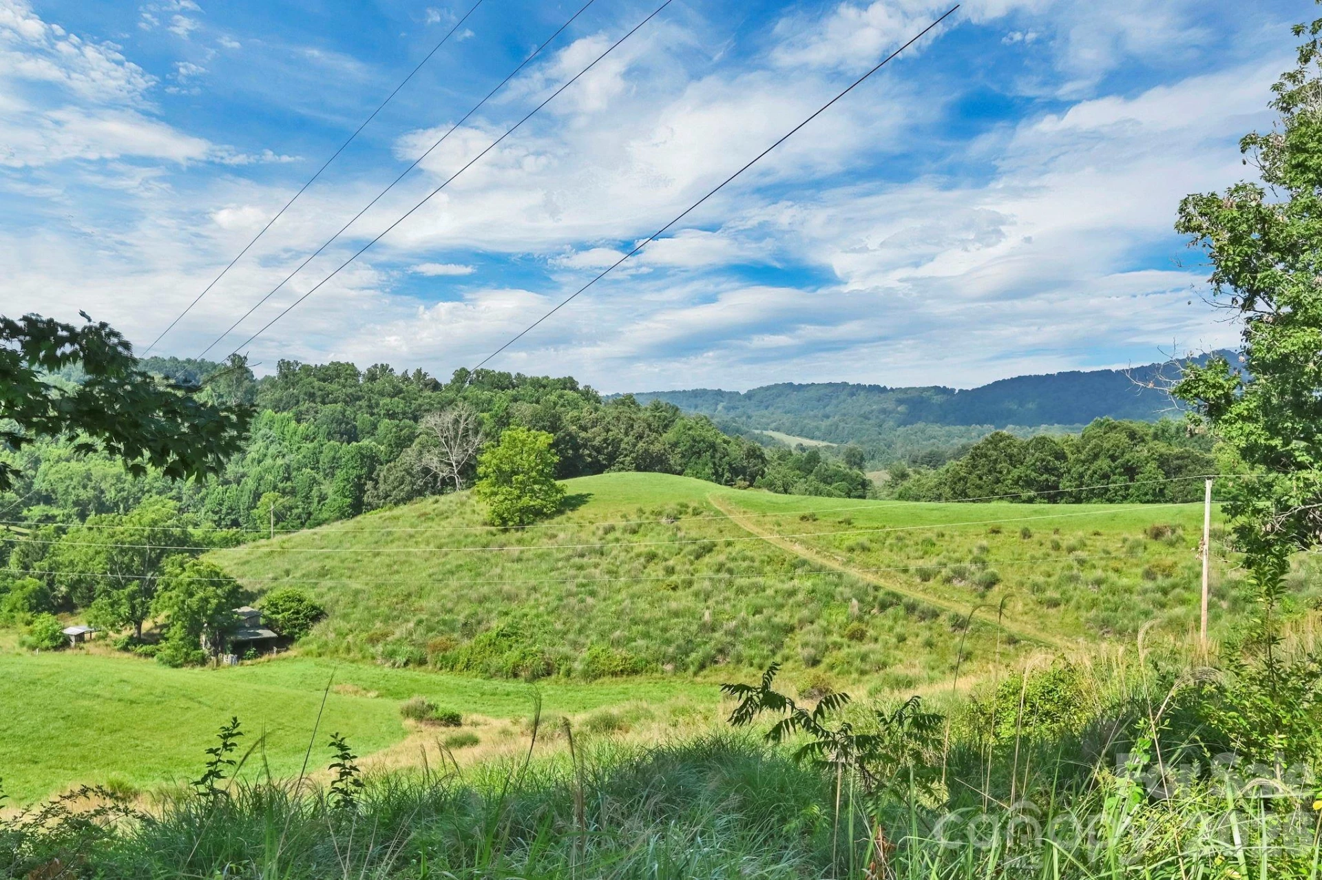 553 Morgan Branch Road - Photo 17