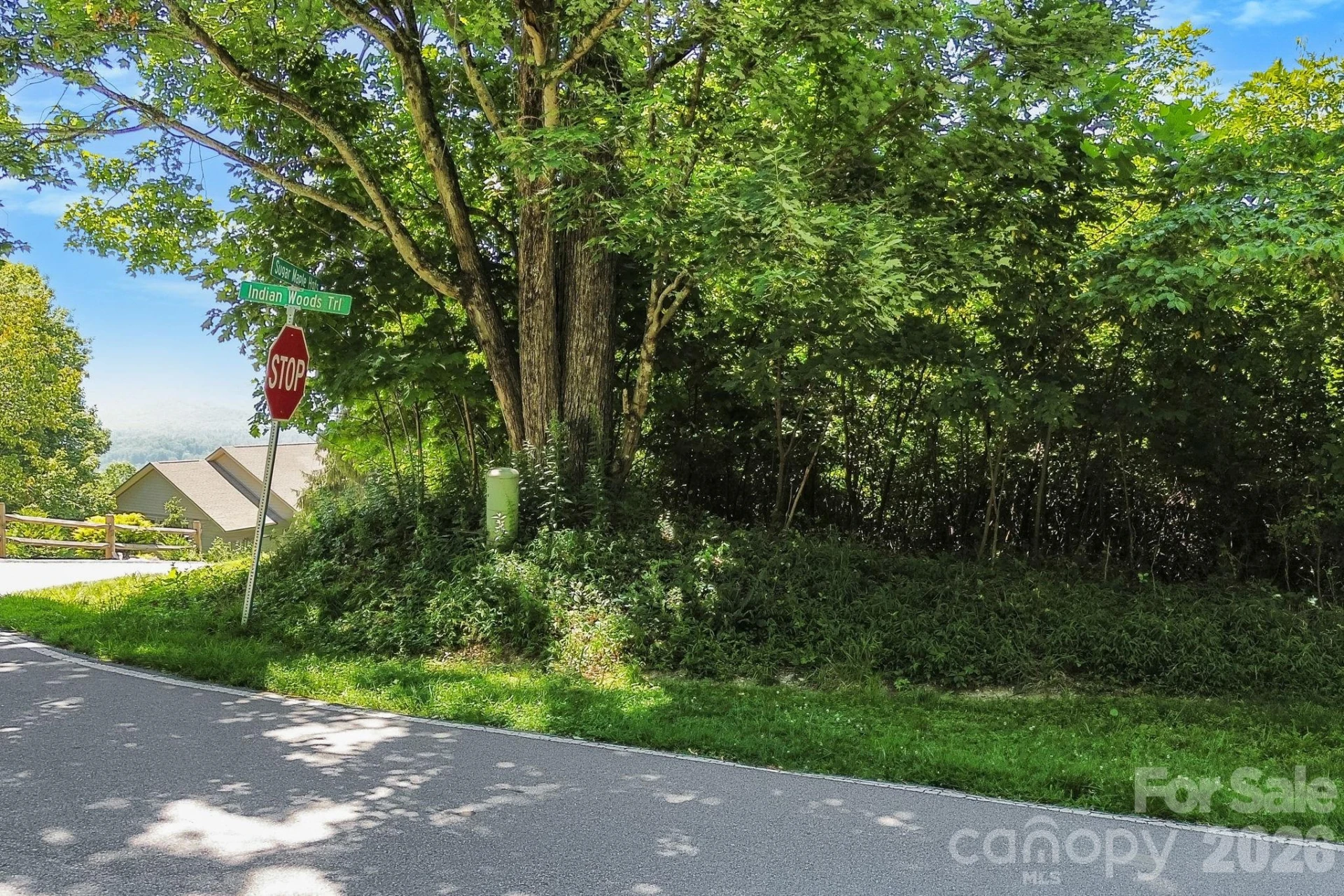 98 Indian Woods Trail - Photo 9