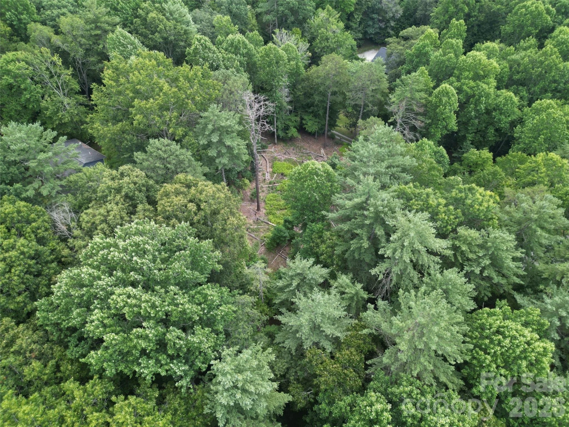 319 Valley Lane - Photo 11