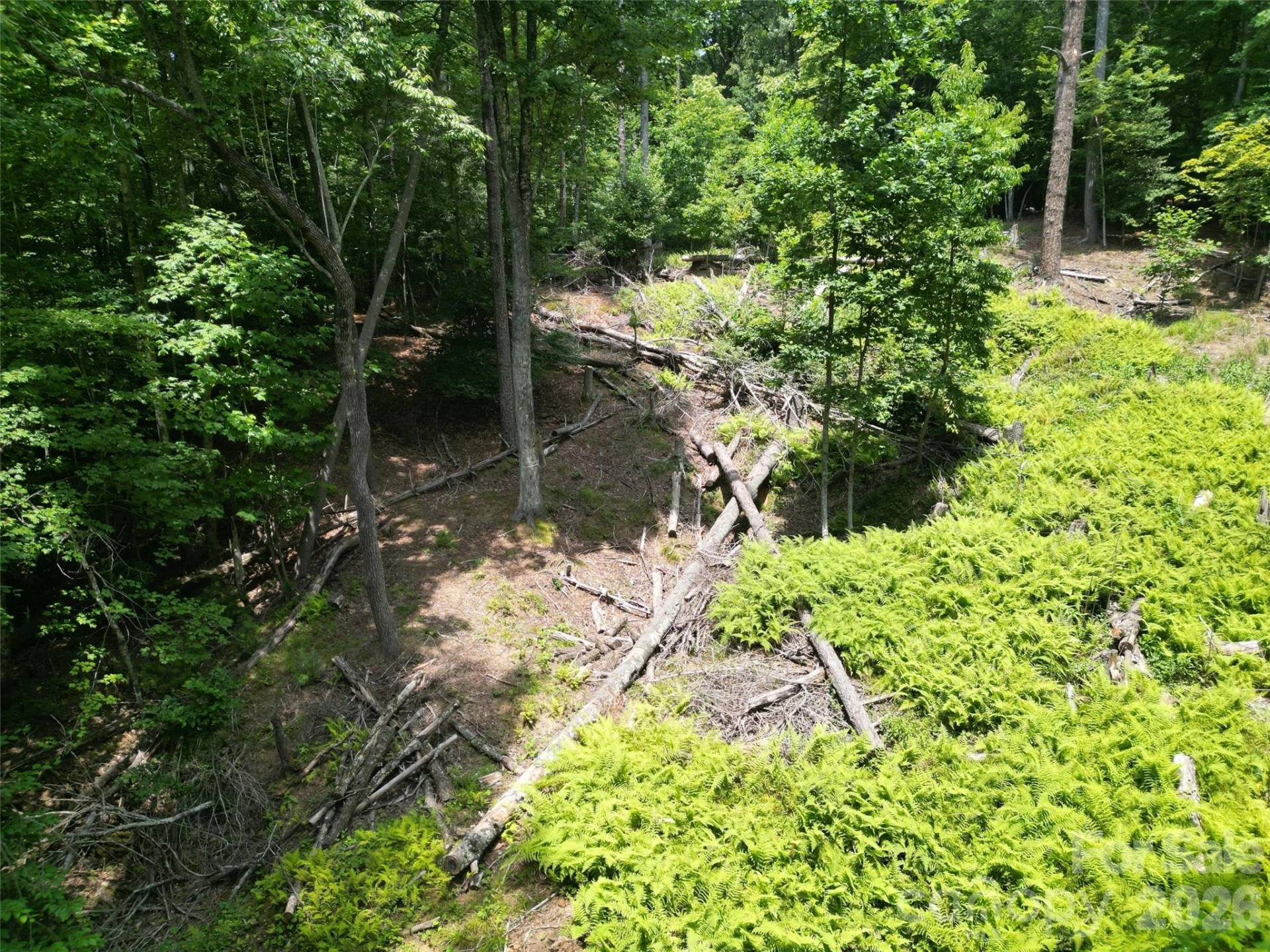 319 Valley Lane - Photo 13