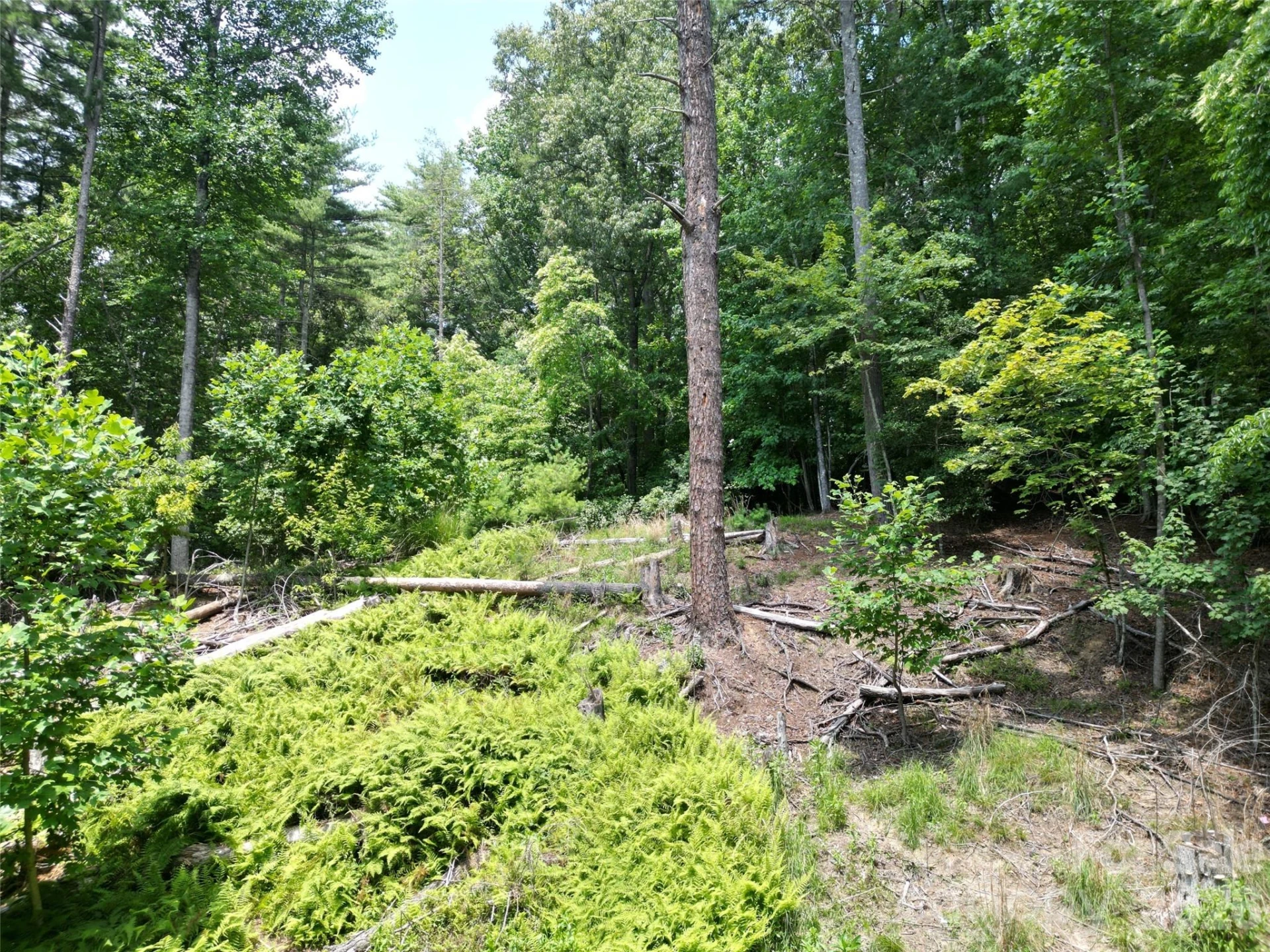 319 Valley Lane - Photo 4