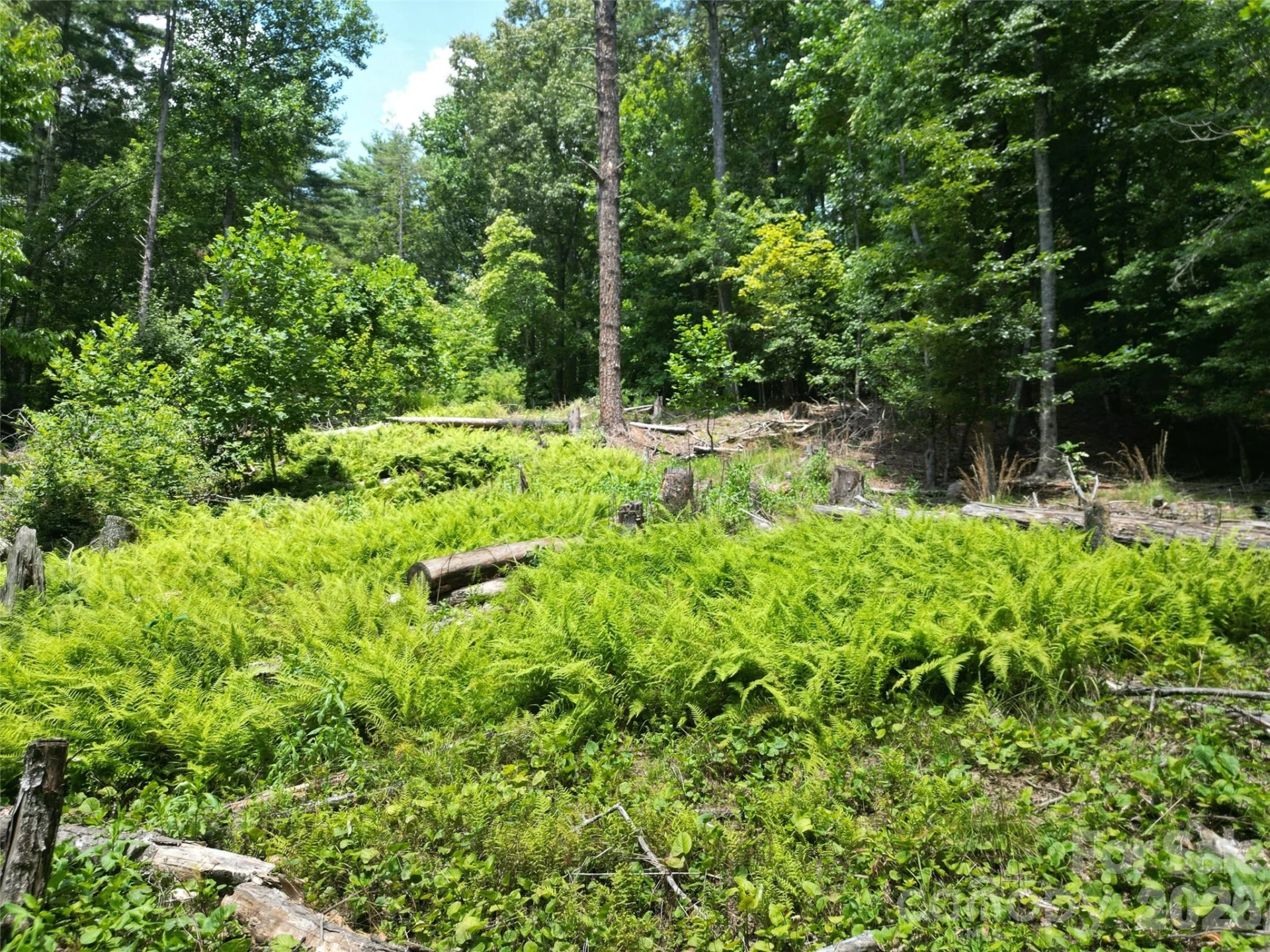 319 Valley Lane - Photo 6