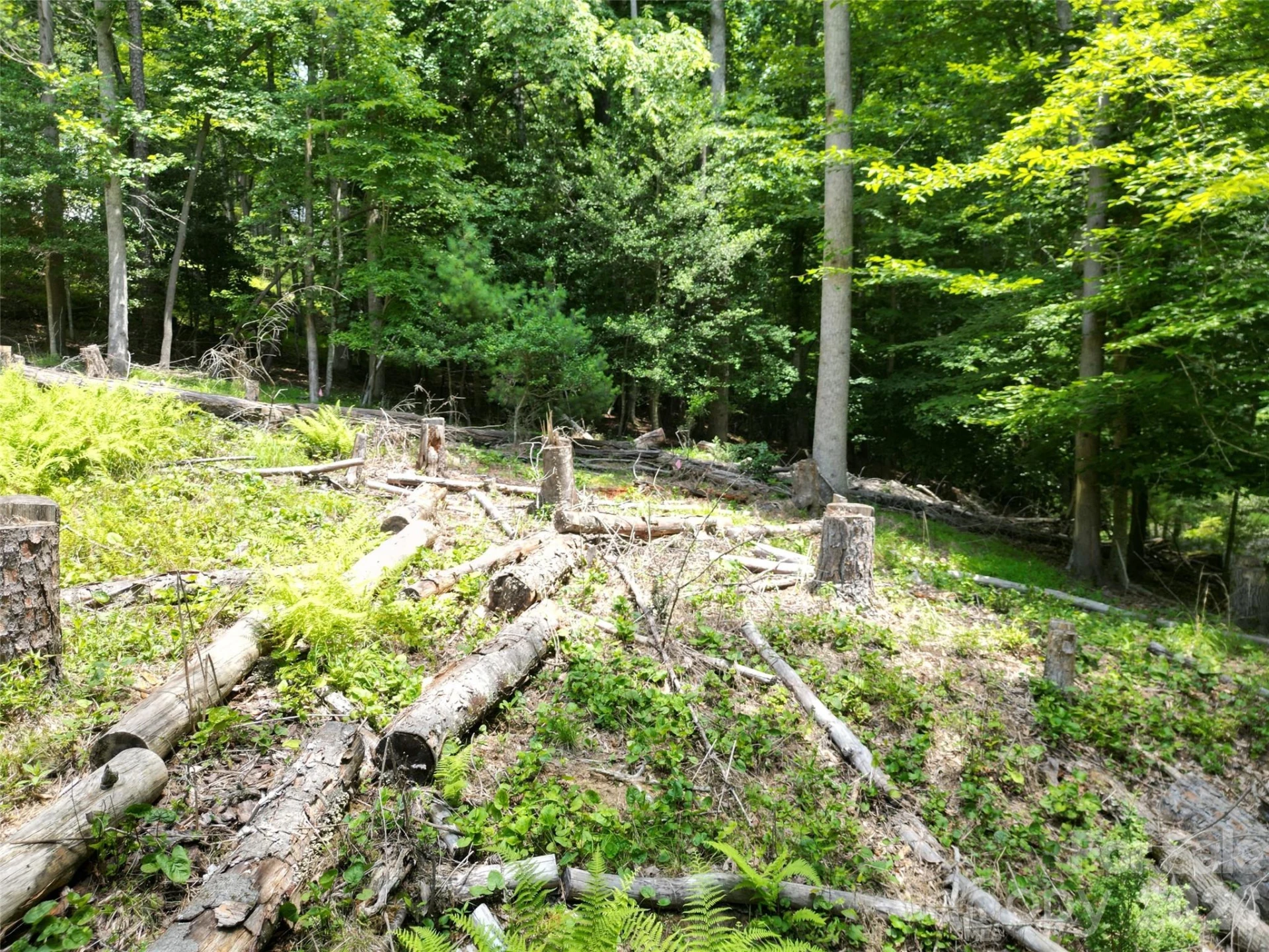 319 Valley Lane - Photo 7