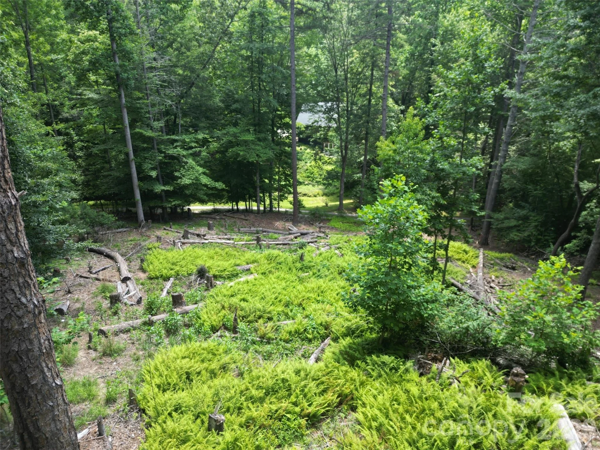 319 Valley Lane - Photo 8