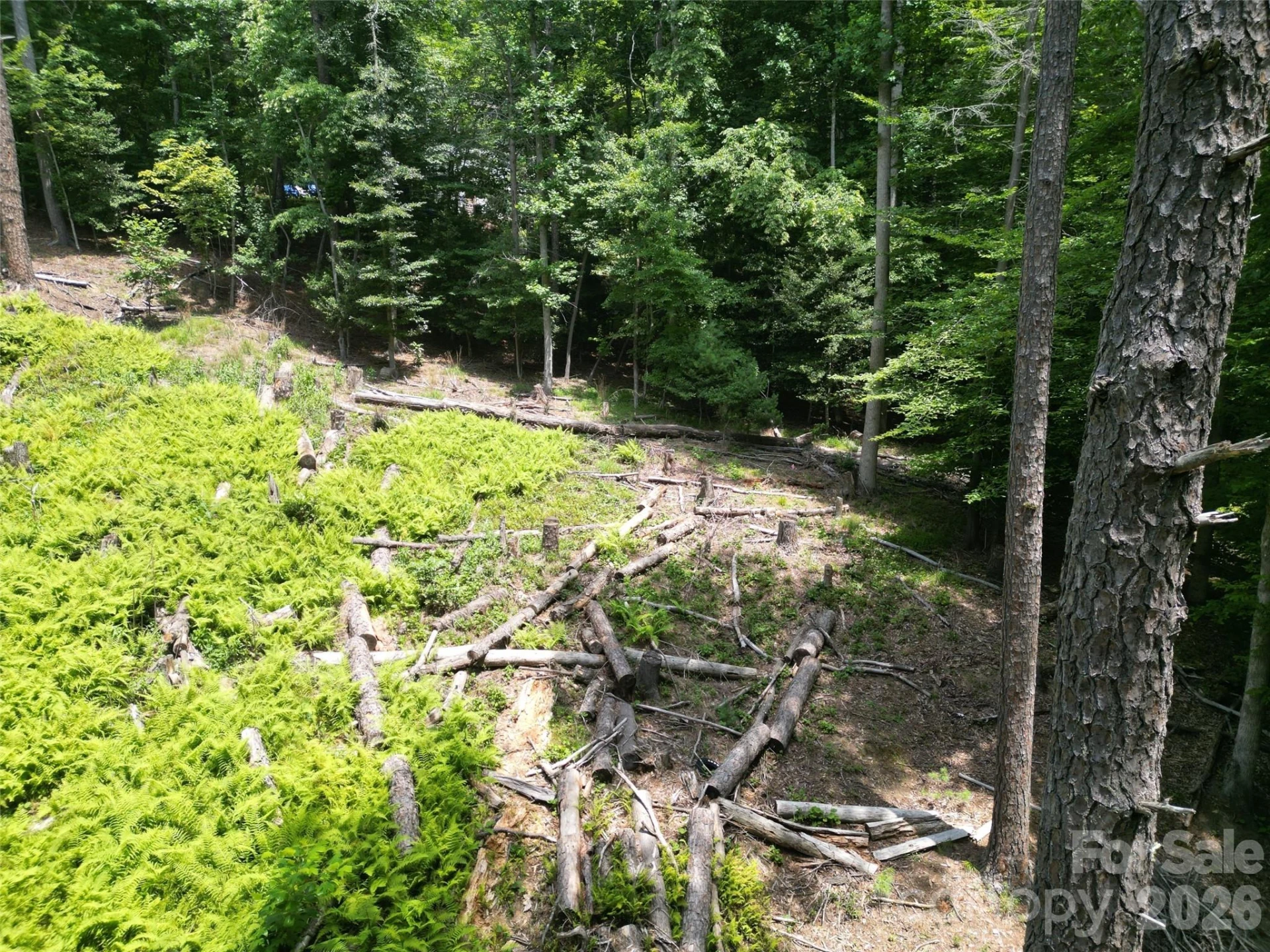 319 Valley Lane - Photo 9