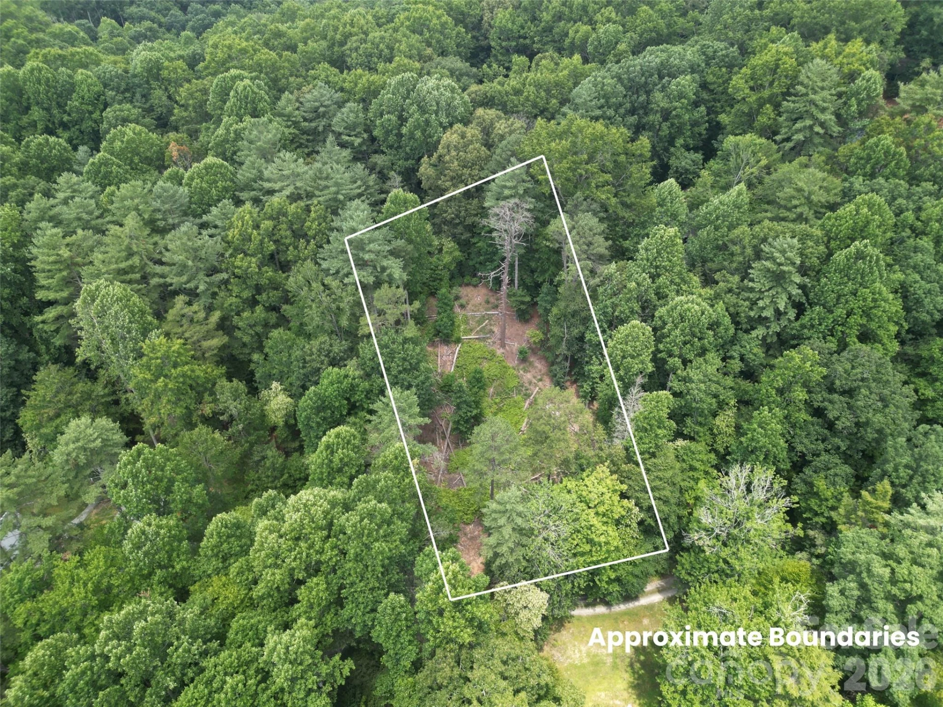 319 Valley Lane - Photo 10