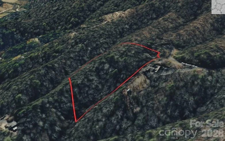 365 Big Bear Trail #25 - Photo 3
