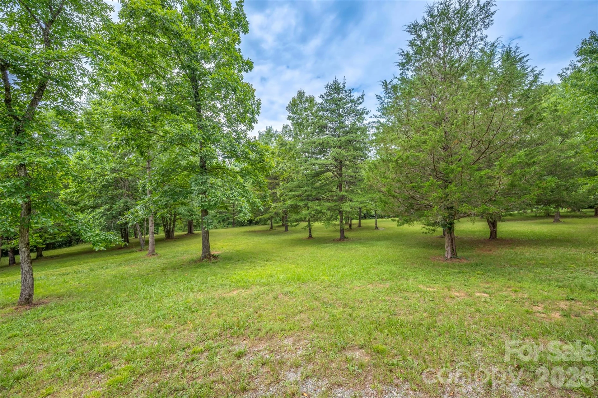 162 Sandstone Drive #193 - Photo 5
