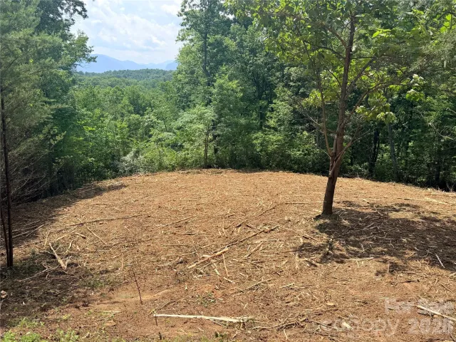 0 Rock Ledge Drive, Lake Lure, NC, 28746