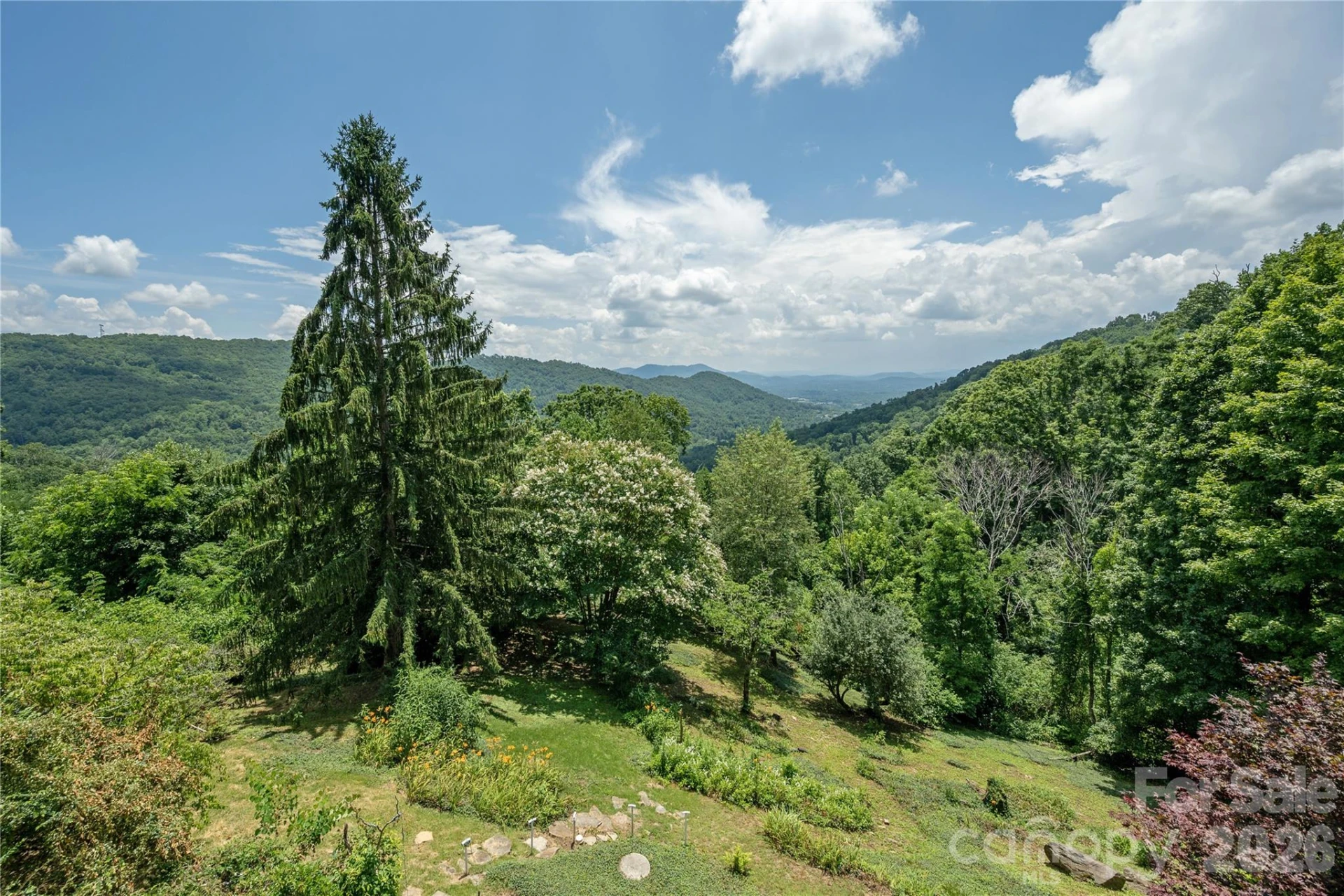 811 Town Mountain Road - Photo 23