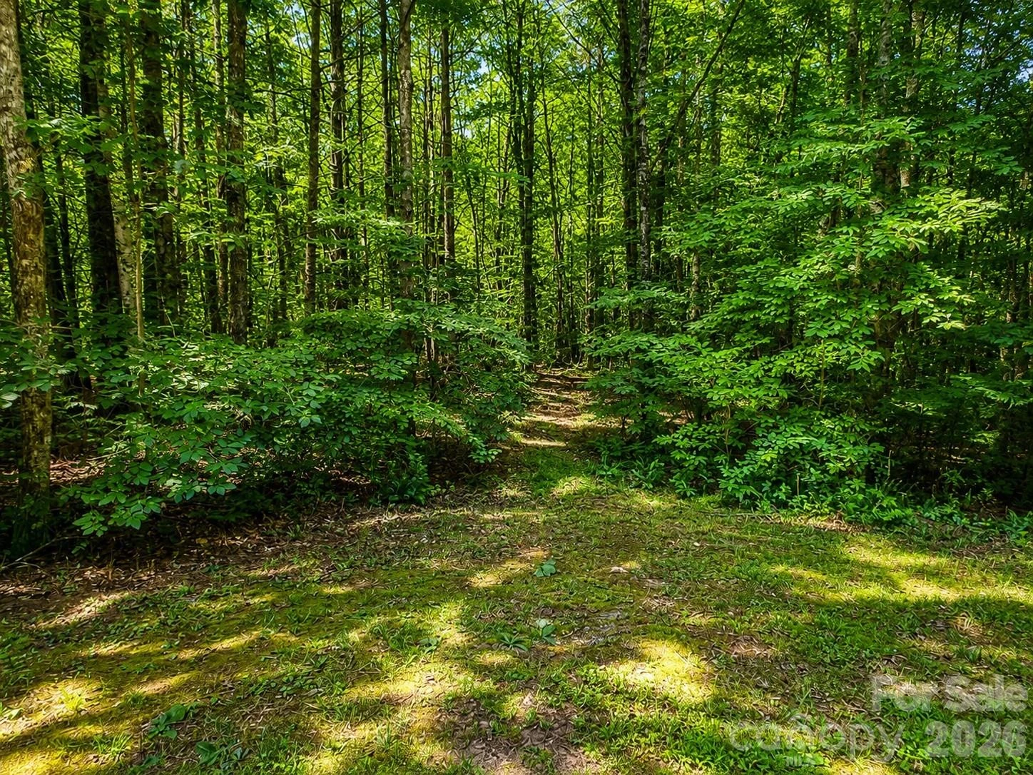 49 Trillium Trail - Photo 3