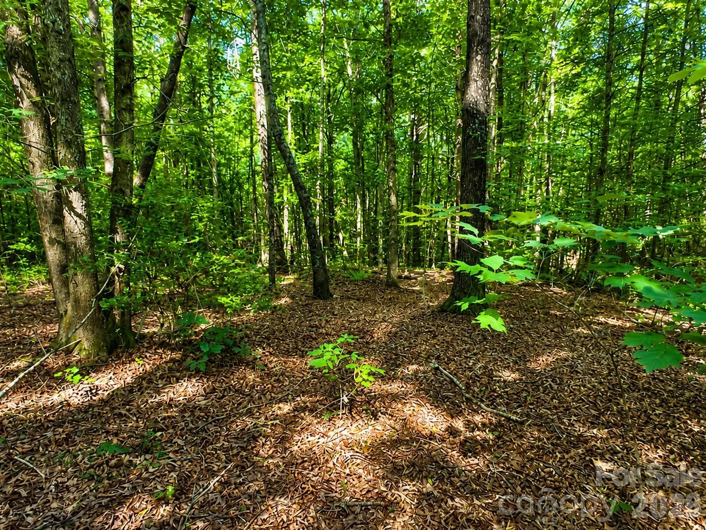 49 Trillium Trail - Photo 4