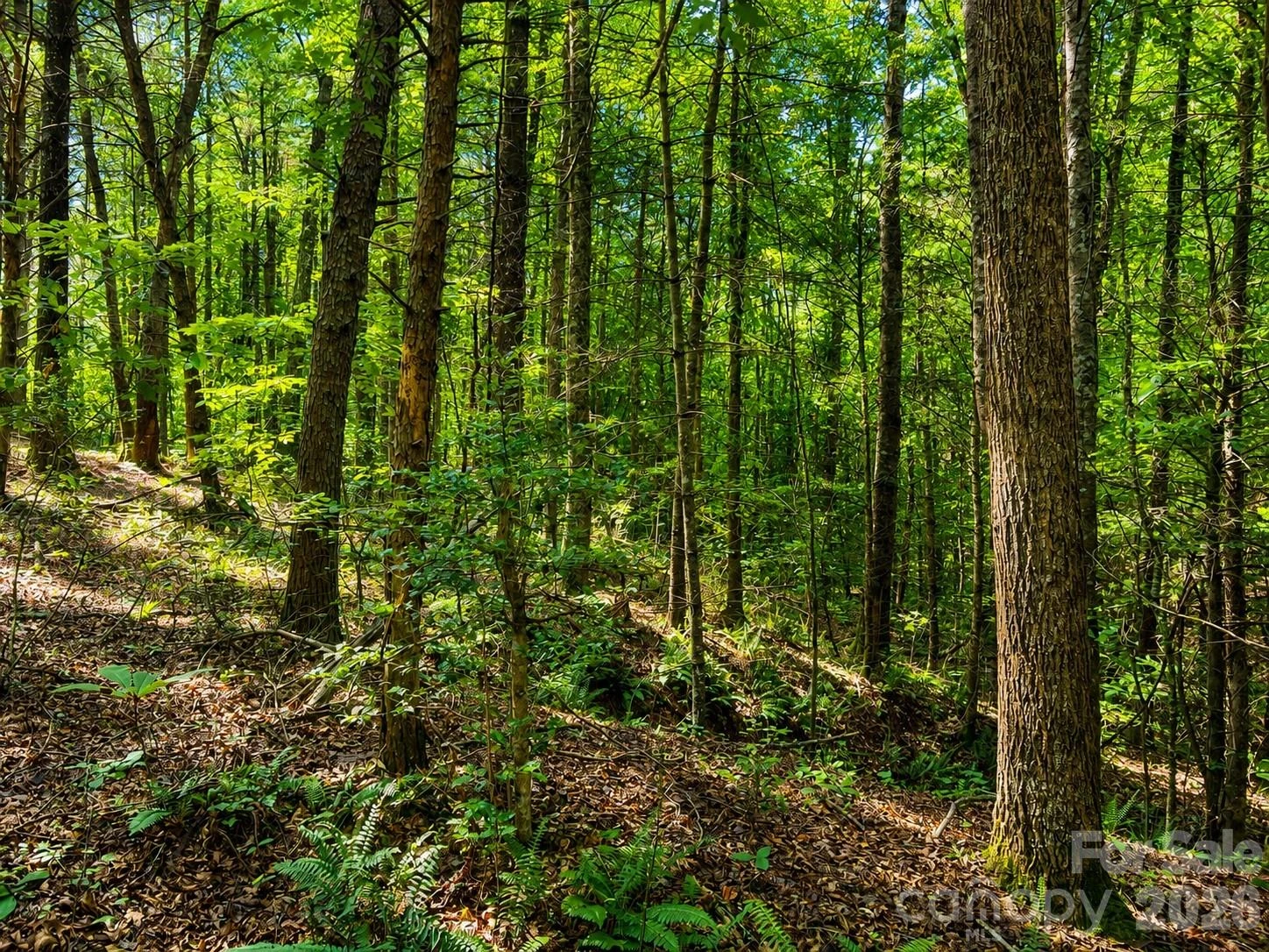 49 Trillium Trail - Photo 6