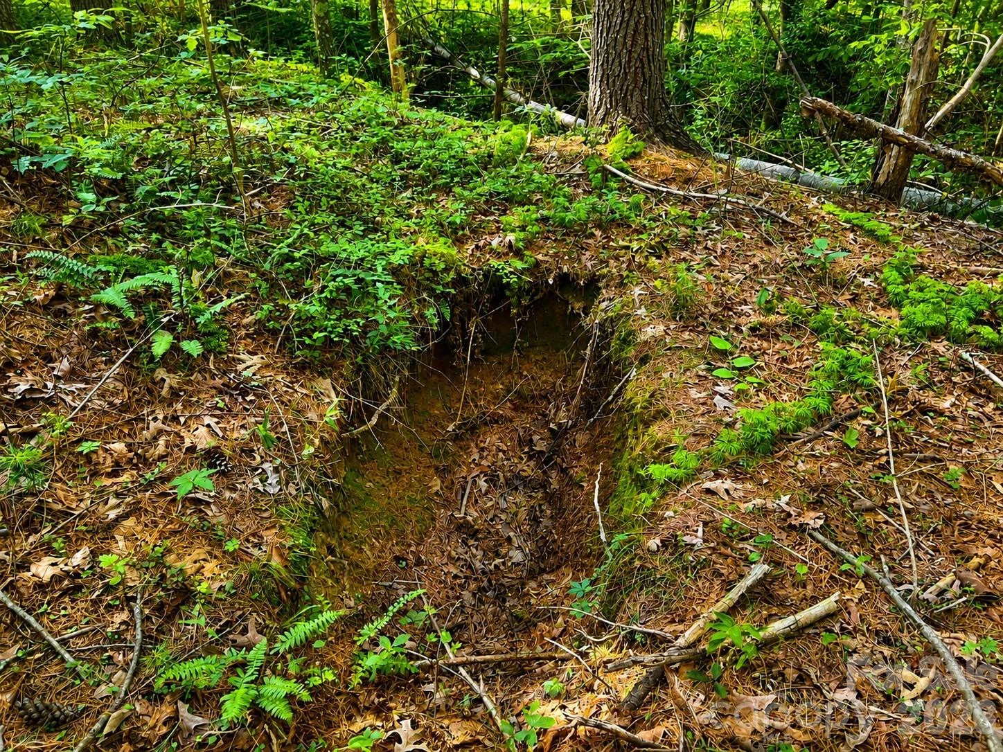49 Trillium Trail - Photo 7