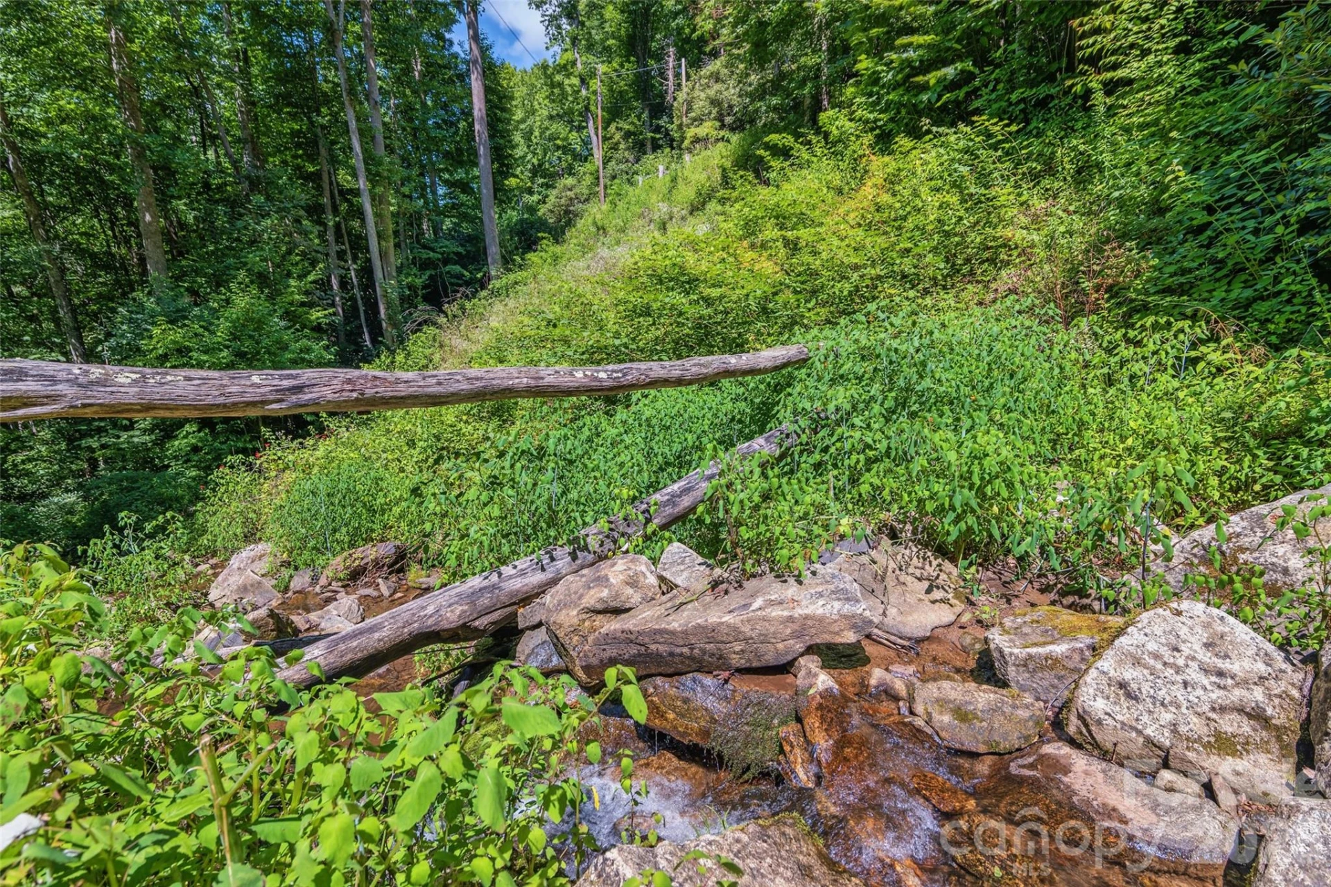 1482 Howard Moore Road - Photo 39