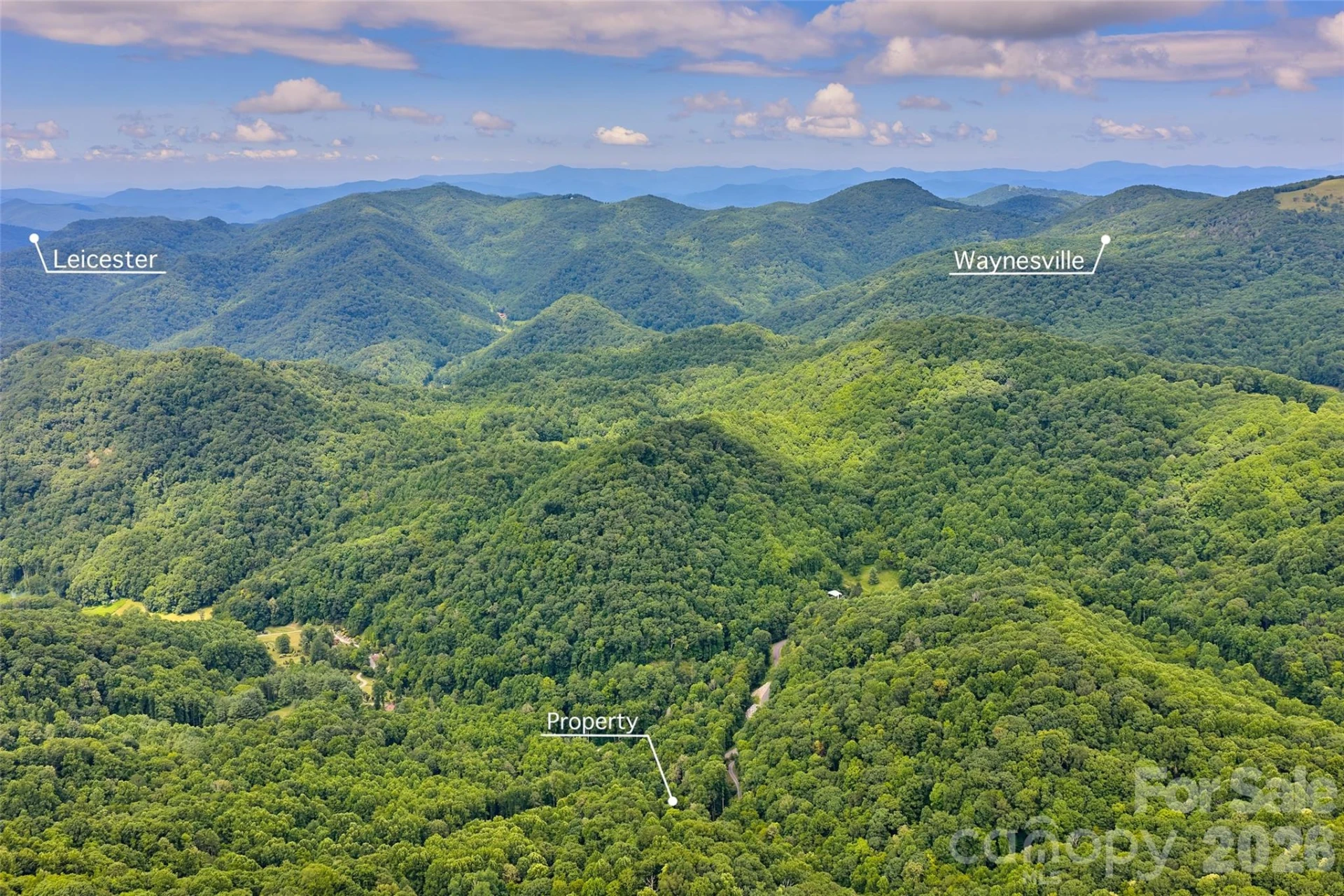 1482 Howard Moore Road - Photo 47
