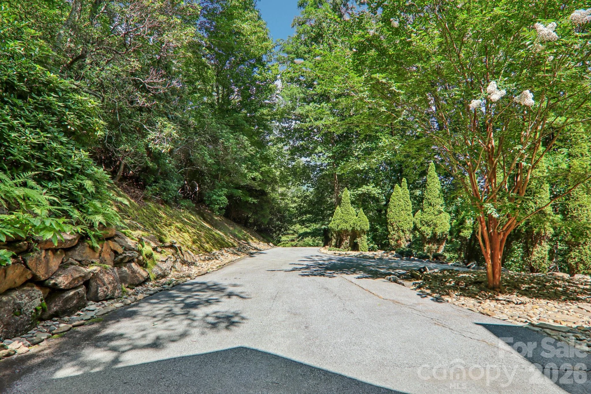 10 Cedar Drive - Photo 7