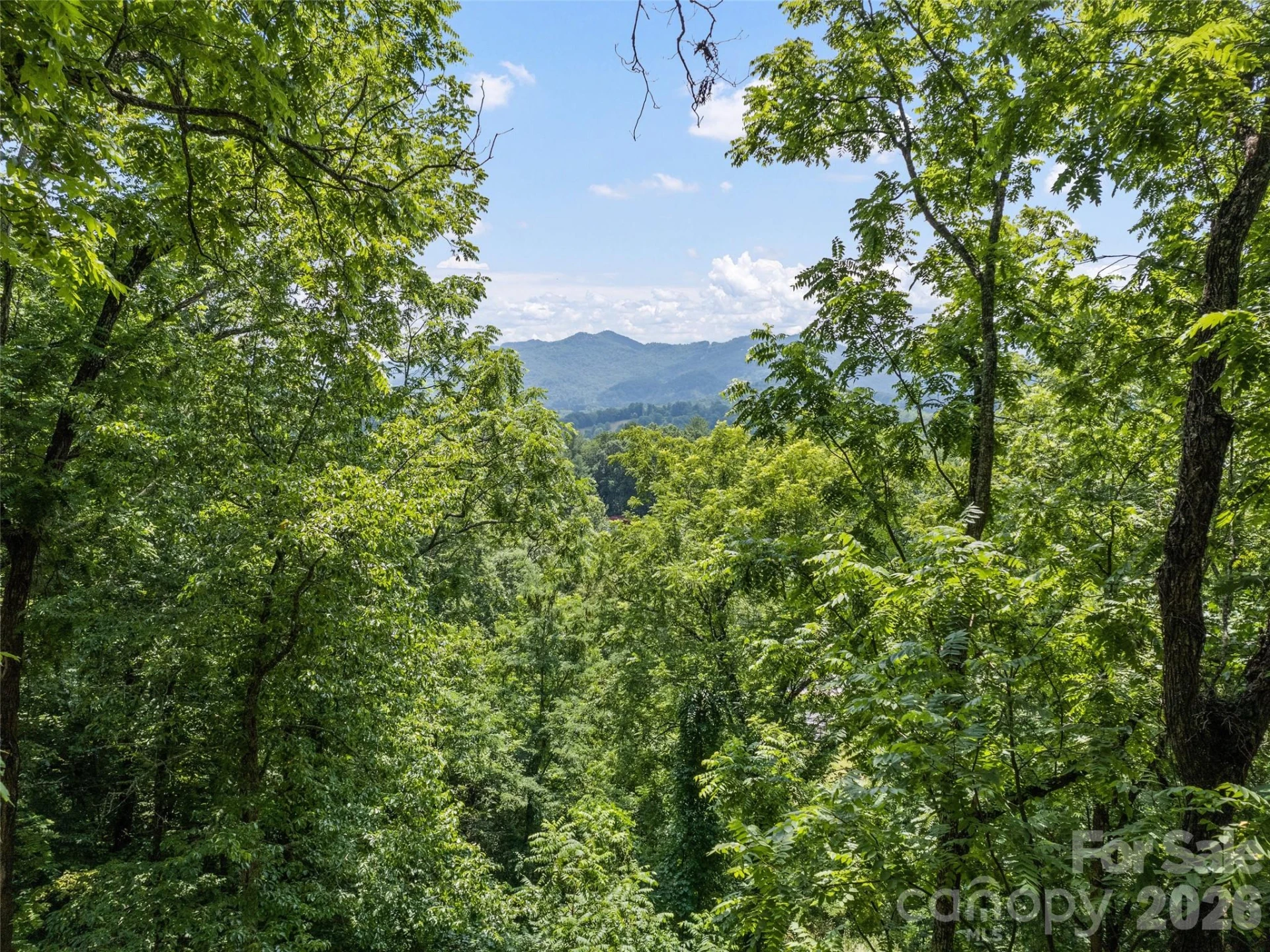 145 Hiaway Trail - Photo 12