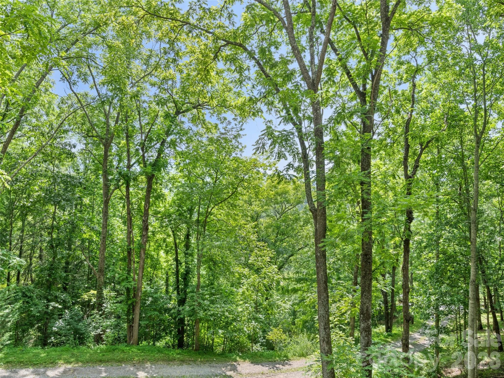 145 Hiaway Trail - Photo 17