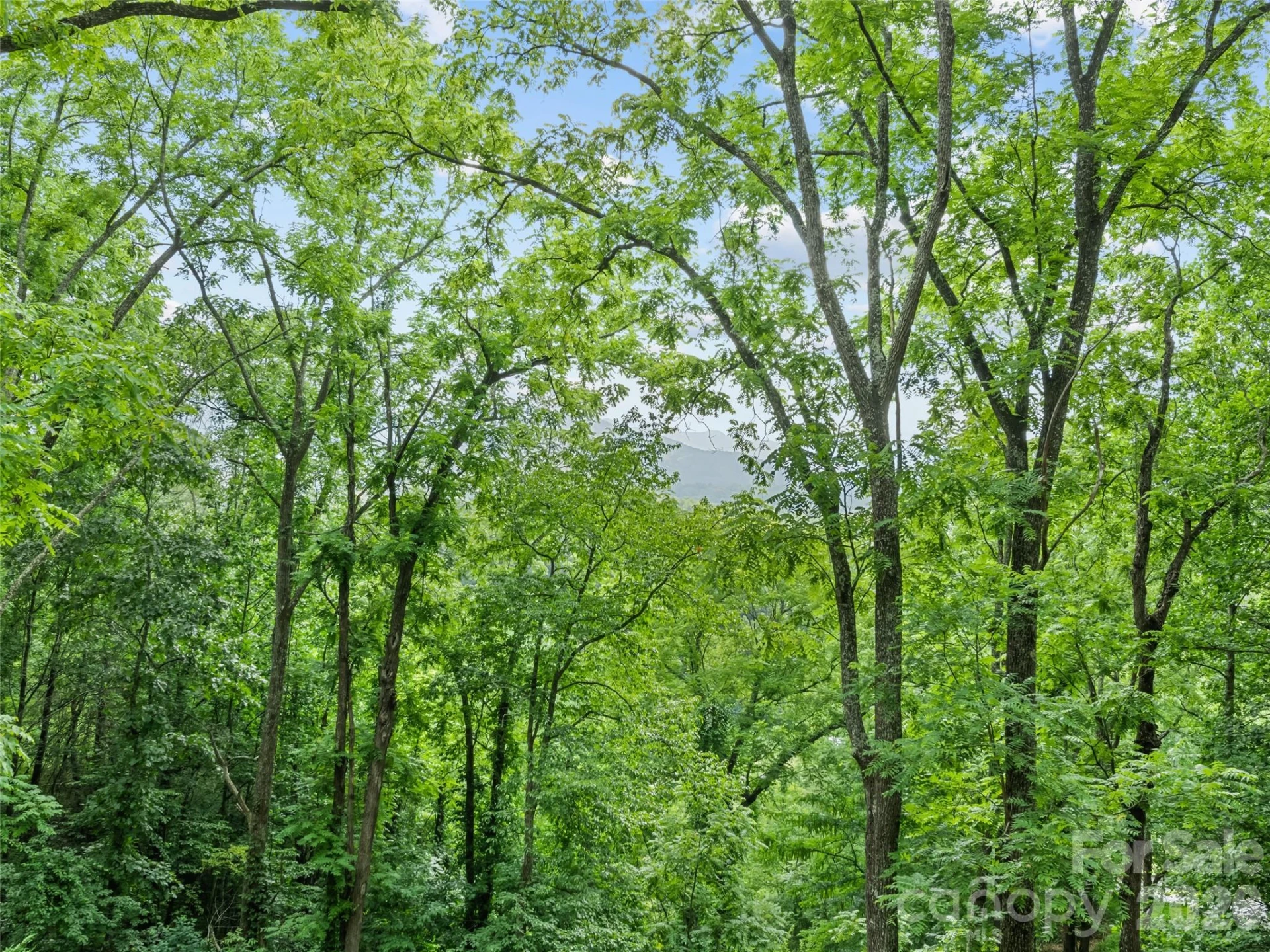 145 Hiaway Trail - Photo 23