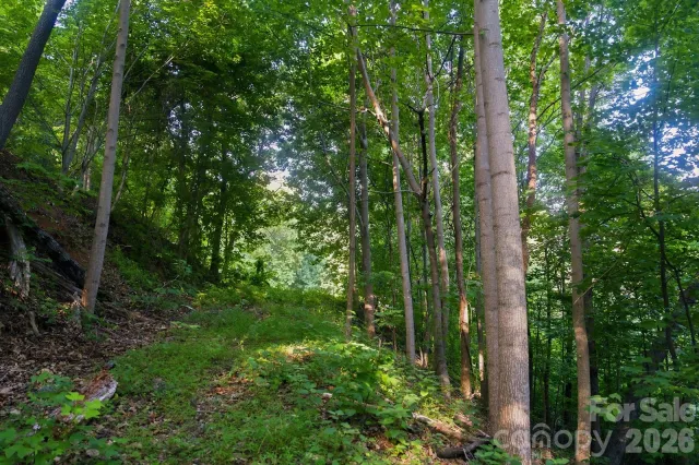 00 Ragans Pointe Pointe, Columbus, NC, 28722
