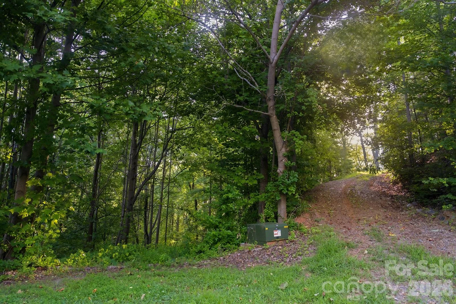 00 Ragans Pointe Pointe #58 - Photo 3