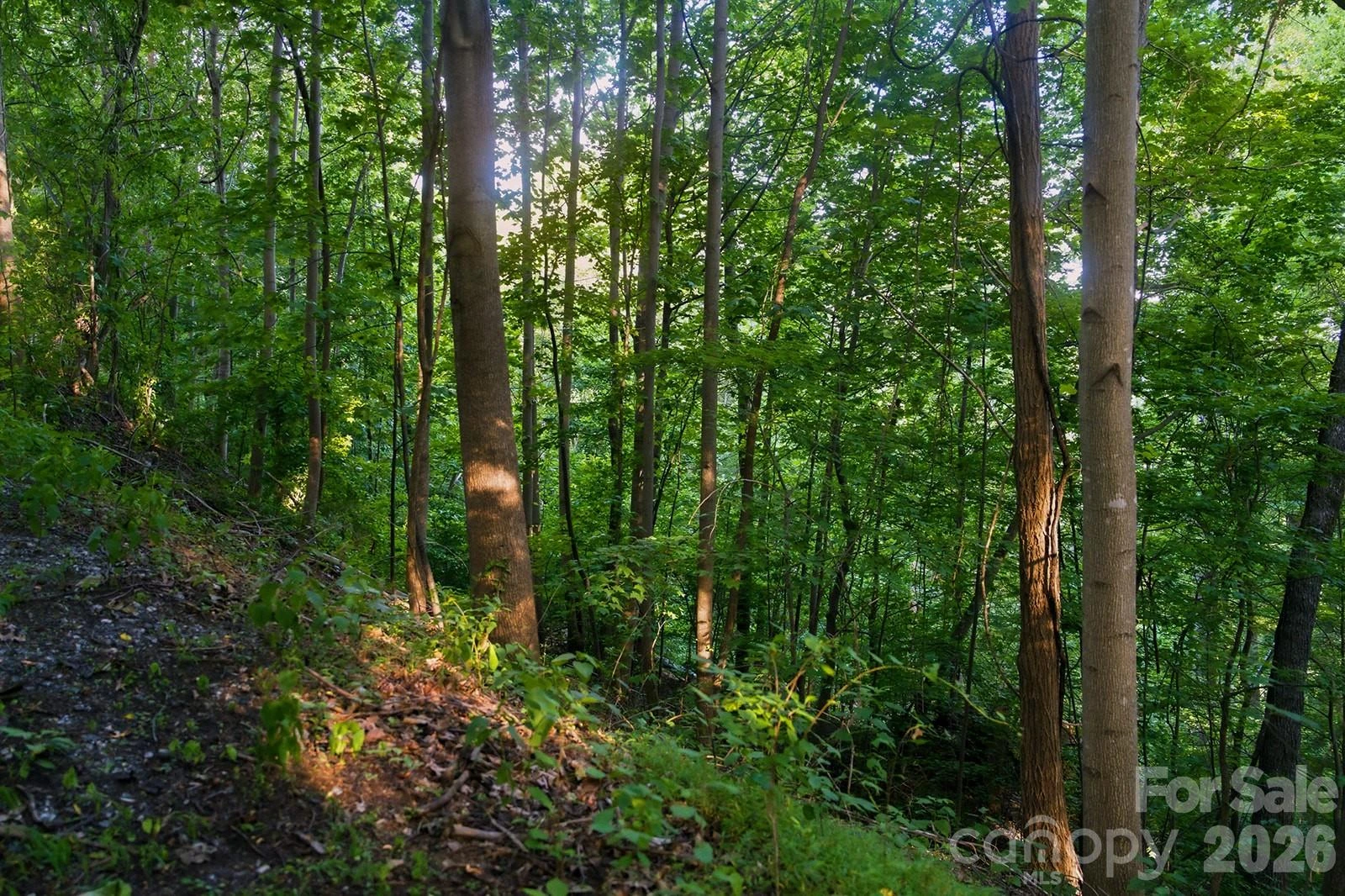 00 Ragans Pointe Pointe #58 - Photo 4