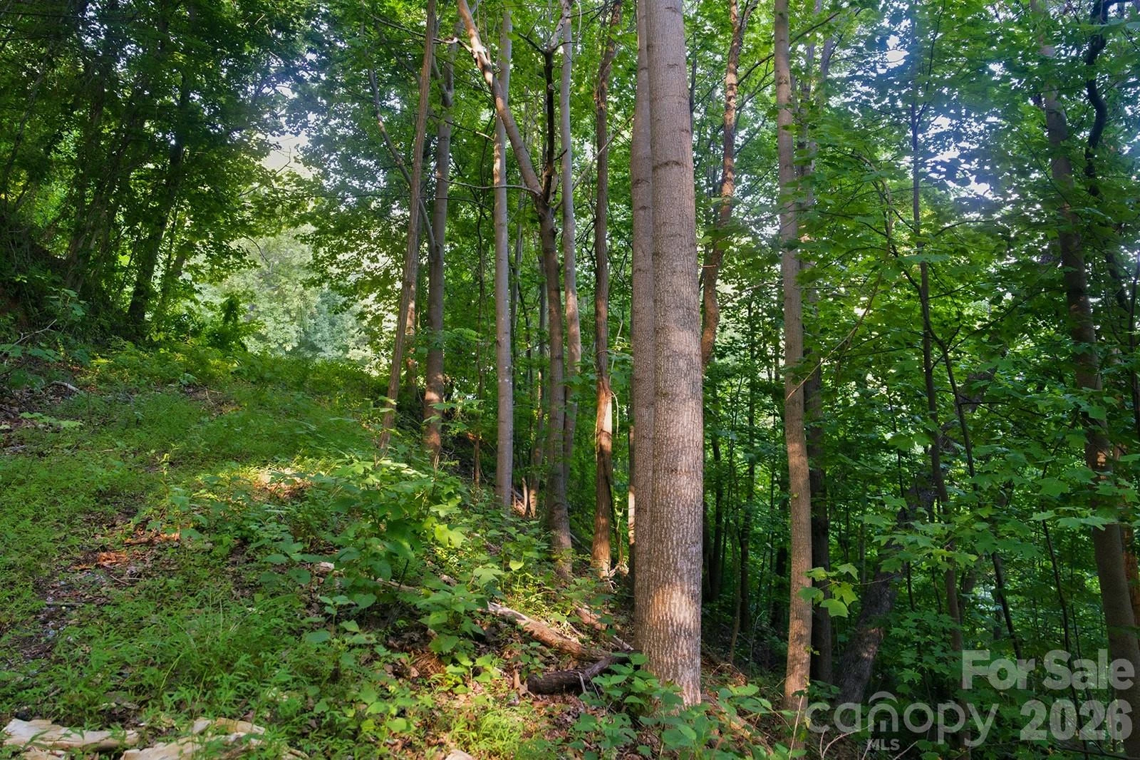00 Ragans Pointe Pointe #58 - Photo 5