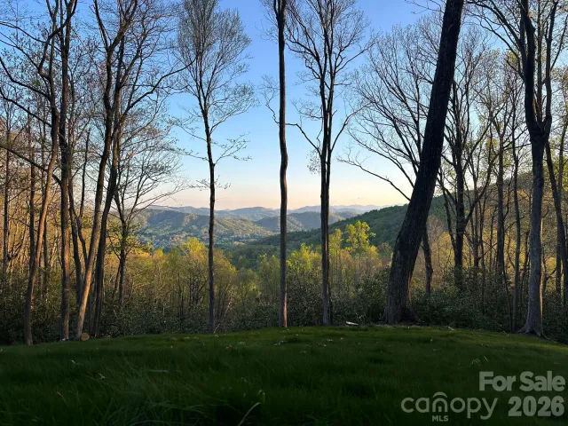 000 Hemlock Grove Trail, Fletcher, NC, 28732