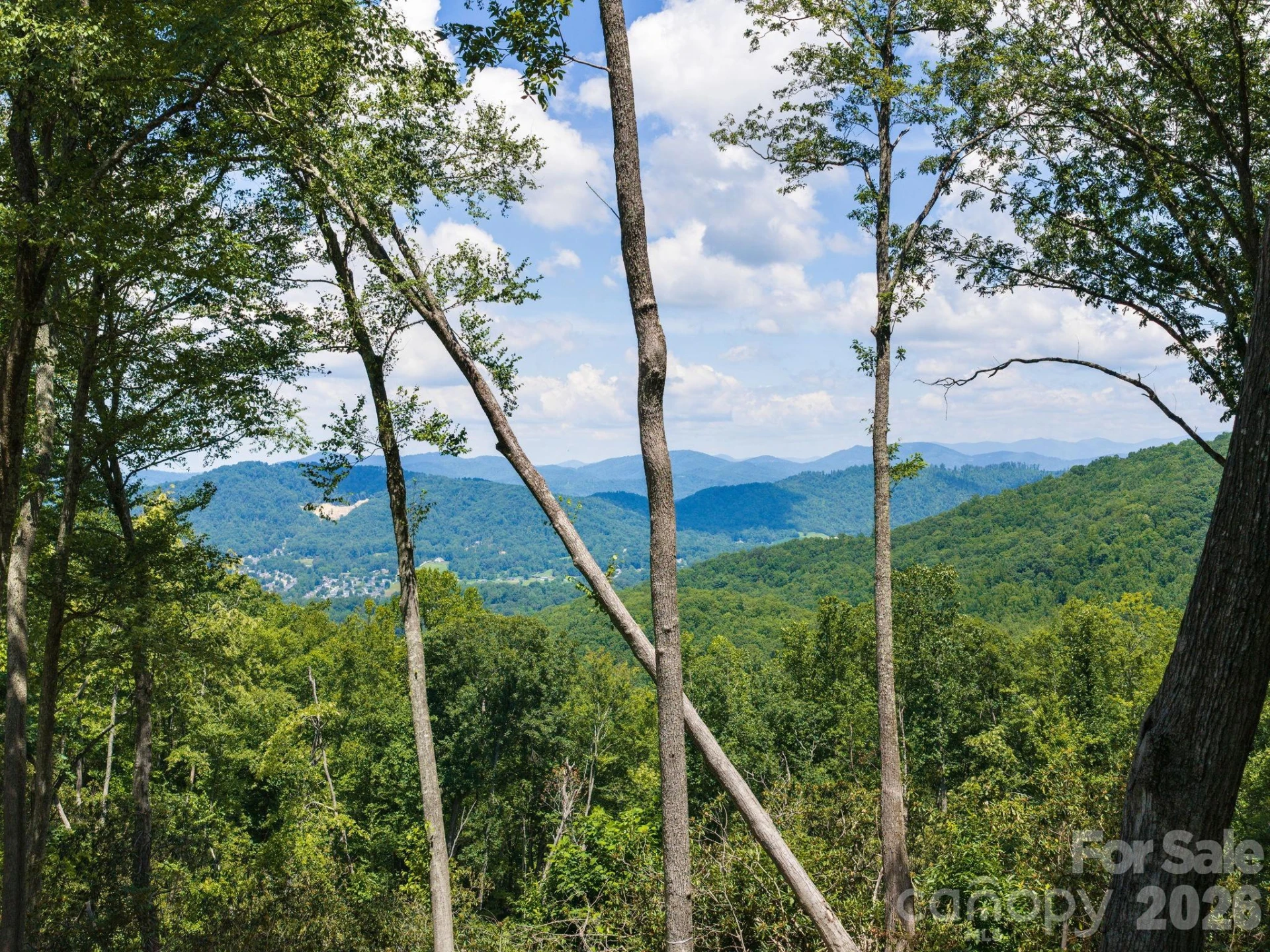 000 Hemlock Grove Trail #51 - Photo 20