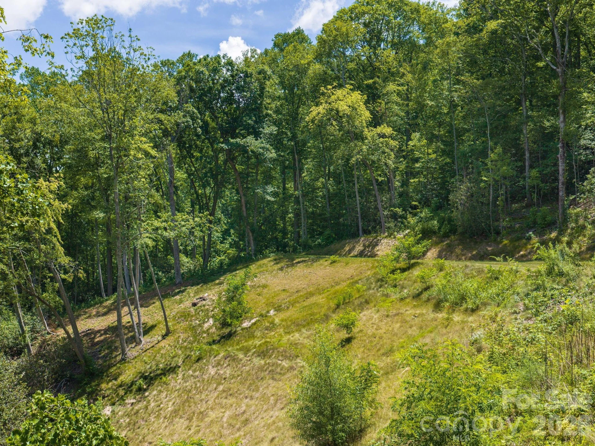 000 Hemlock Grove Trail #51 - Photo 23