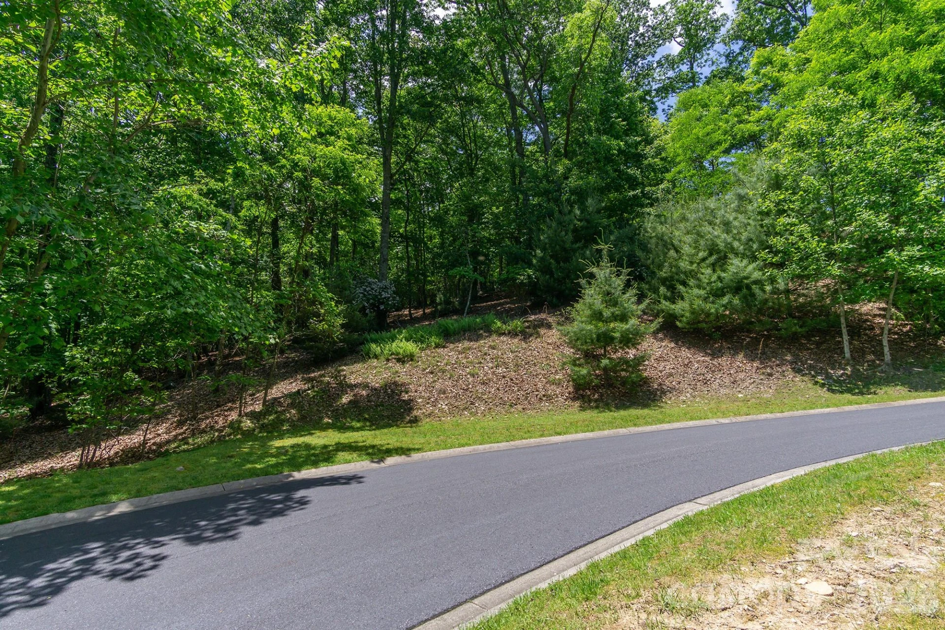 lot 53R Mills River Way #Lot 53R
