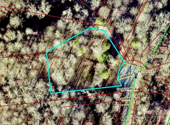 120 Ben Lippen School Road - Photo 2