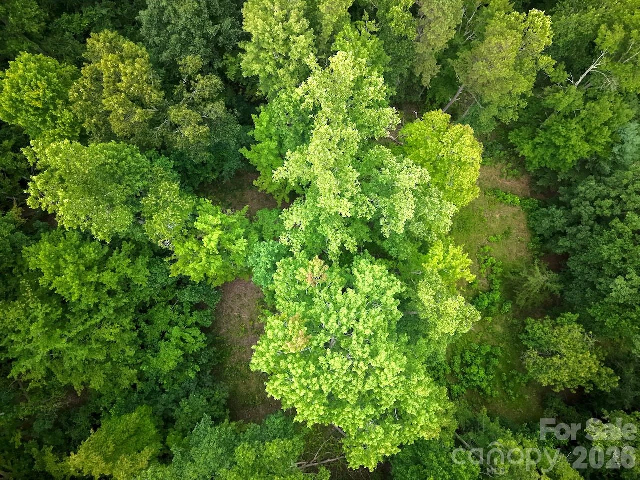 120 Ben Lippen School Road - Photo 3