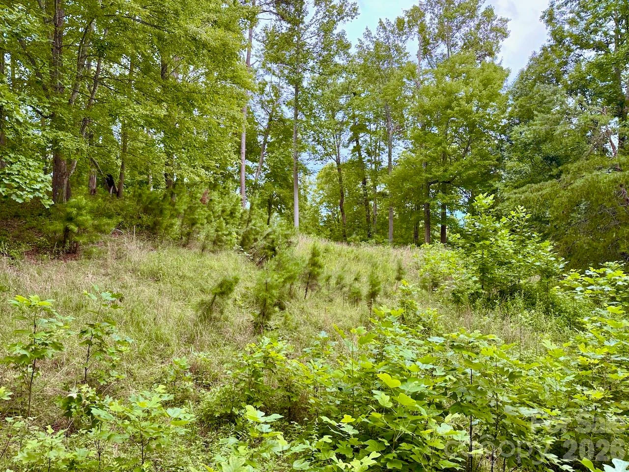120 Ben Lippen School Road - Photo 4