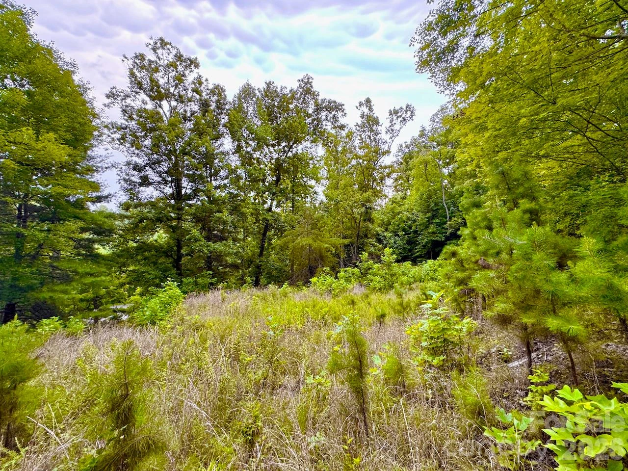 120 Ben Lippen School Road - Photo 5