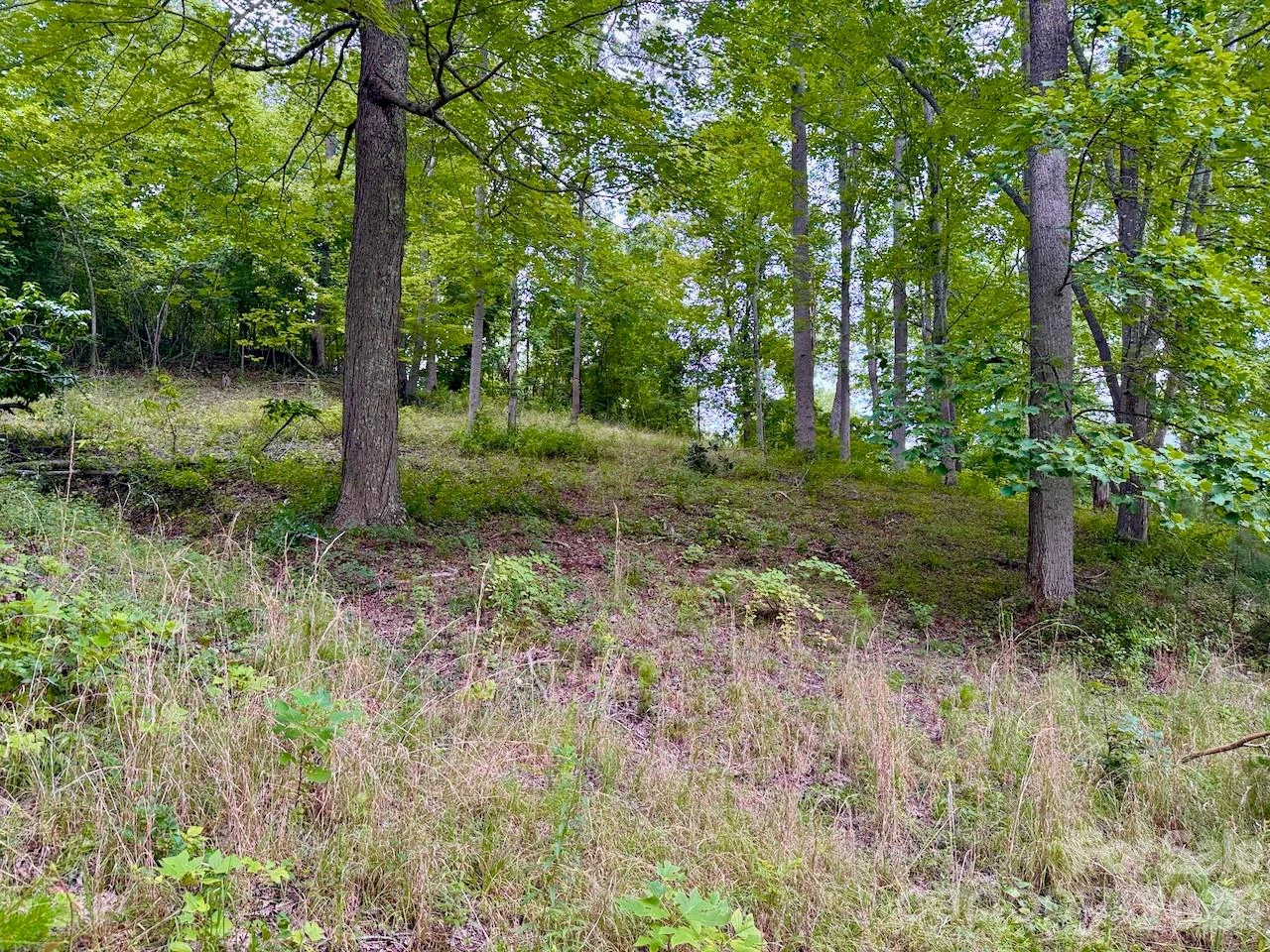 120 Ben Lippen School Road - Photo 8