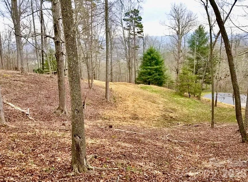 120 Ben Lippen School Road - Photo 9