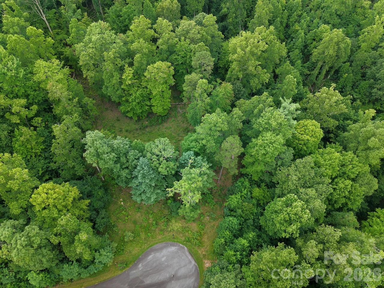 120 Ben Lippen School Road - Photo 10