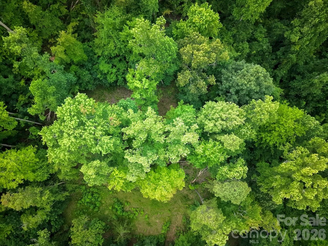 120 Ben Lippen School Road - Photo 11