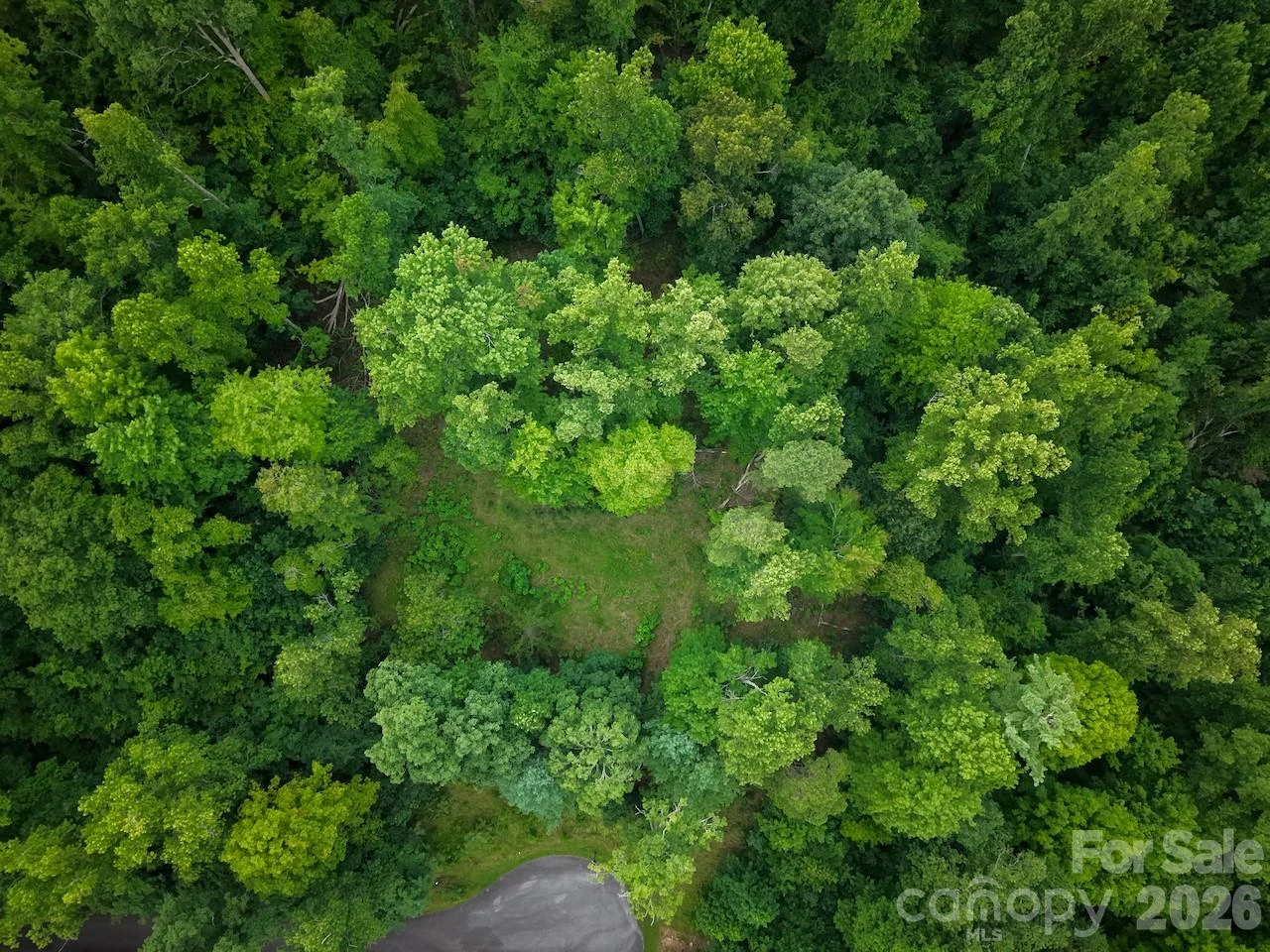 120 Ben Lippen School Road - Photo 12