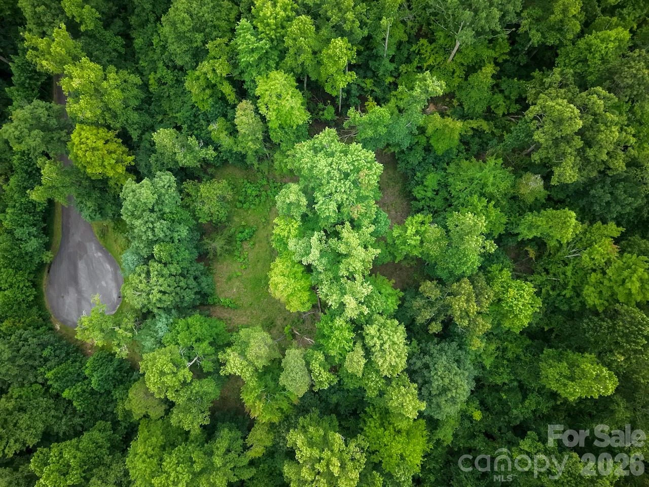 120 Ben Lippen School Road - Photo 13