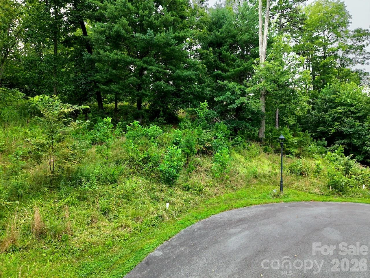 120 Ben Lippen School Road - Photo 17