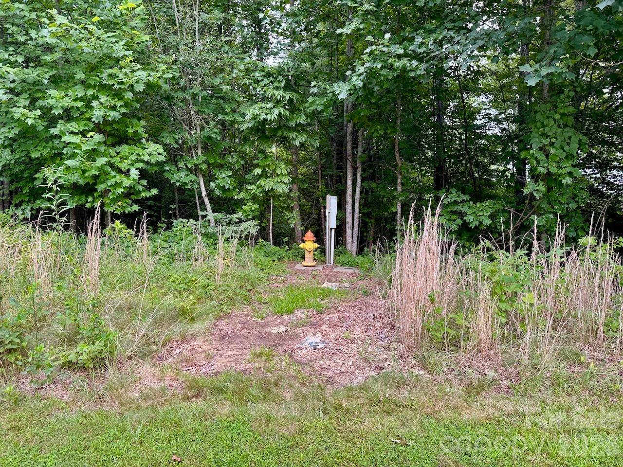 120 Ben Lippen School Road - Photo 18