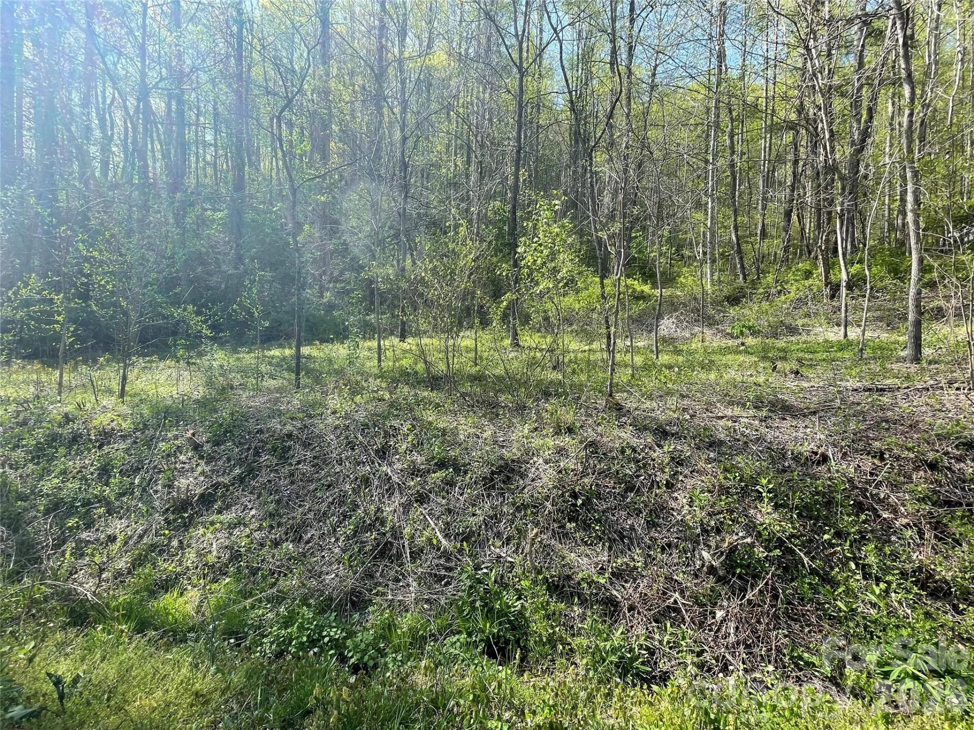 99999 Martins Creek Road - Photo 3